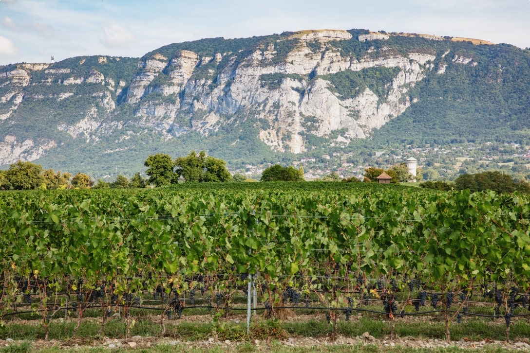 PRESENTATION DOMAINE-min