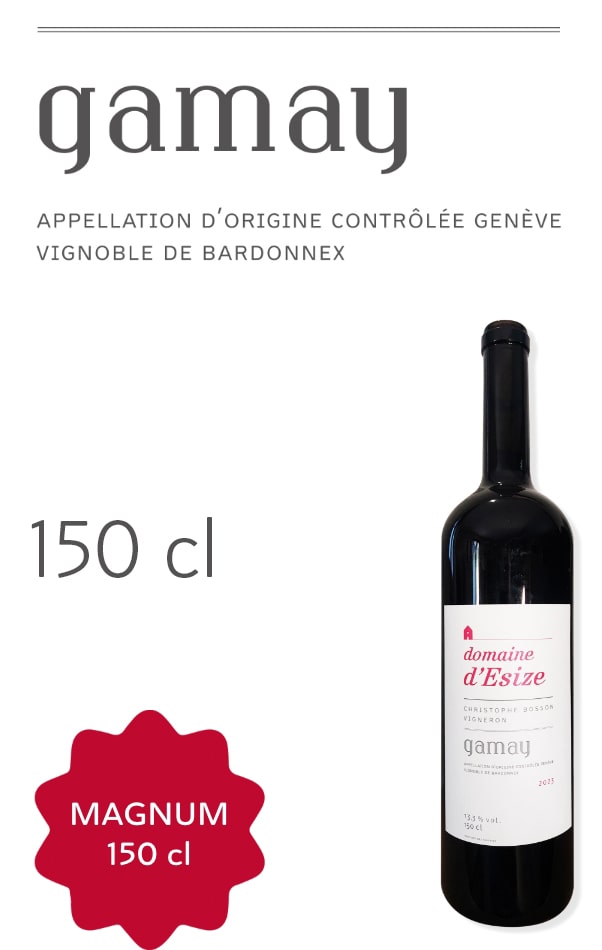 Magnum Gamay 150cl