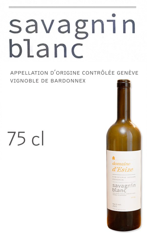 NEW FICHE LIGHT - Savagnin 75cl x2-min