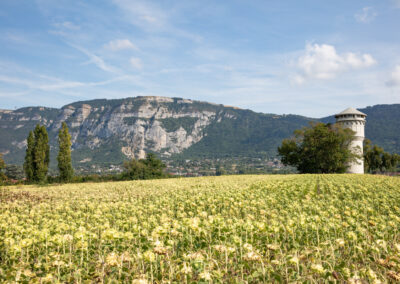 Shooting_photo_origine1980-11