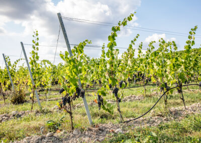 Shooting_photo_origine1980-12