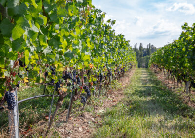 Shooting_photo_origine1980-14