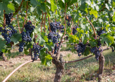 Shooting_photo_origine1980-15