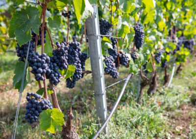 Shooting_photo_origine1980-17