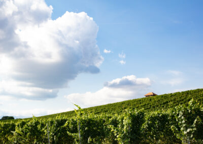 Shooting_photo_origine1980-19