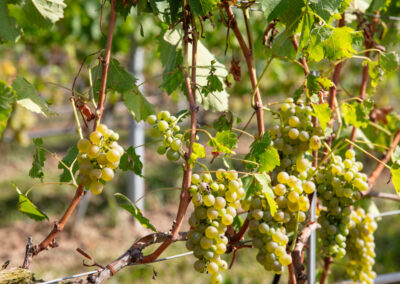 Shooting_photo_origine1980-21