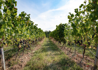 Shooting_photo_origine1980-22