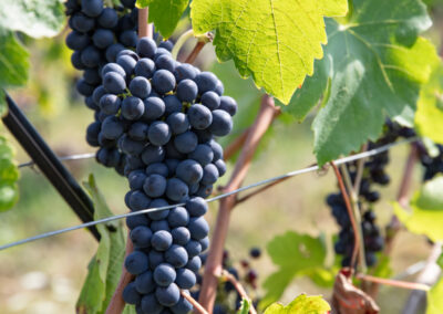 Shooting_photo_origine1980-23