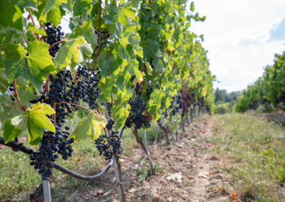 Shooting_photo_origine1980-24