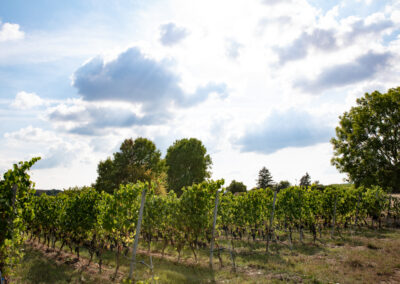 Shooting_photo_origine1980-26