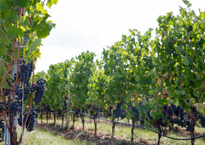 Shooting_photo_origine1980-27