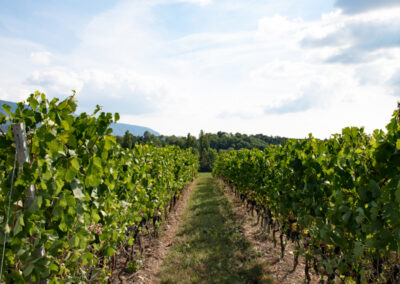 Shooting_photo_origine1980-30