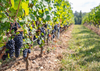 Shooting_photo_origine1980-31