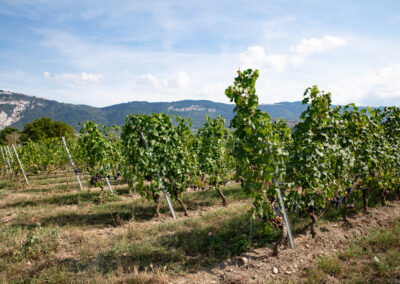 Shooting_photo_origine1980-32