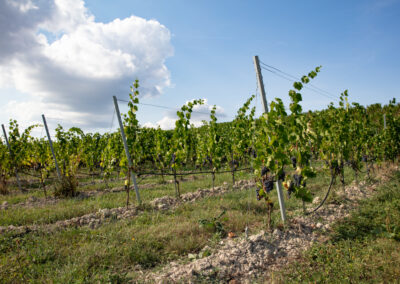 Shooting_photo_origine1980-37