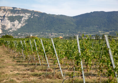 Shooting_photo_origine1980-38