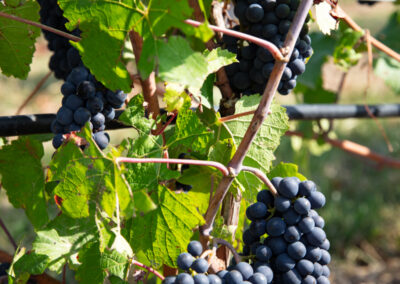 Shooting_photo_origine1980-39