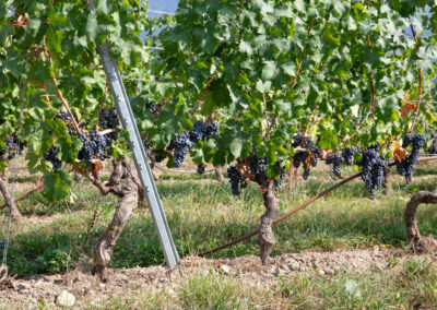 Shooting_photo_origine1980-40