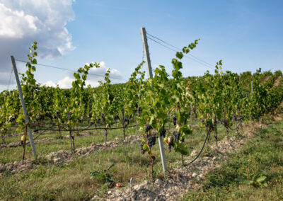 Shooting_photo_origine1980-42