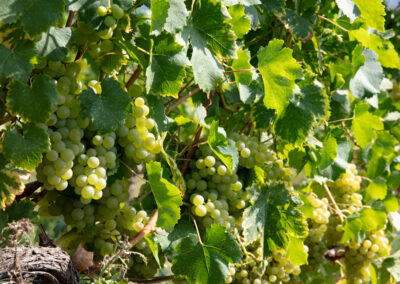 Shooting_photo_origine1980-45