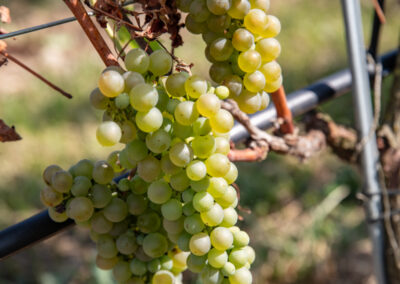 Shooting_photo_origine1980-5