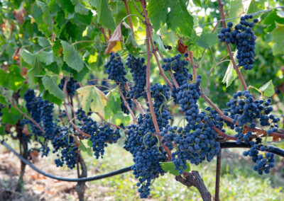 Shooting_photo_origine1980-6