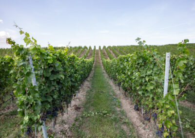 Shooting_photo_origine1980-7