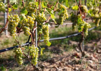 Shooting_photo_origine1980-8