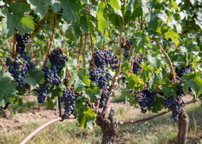 Shooting_photo_origine1980-9