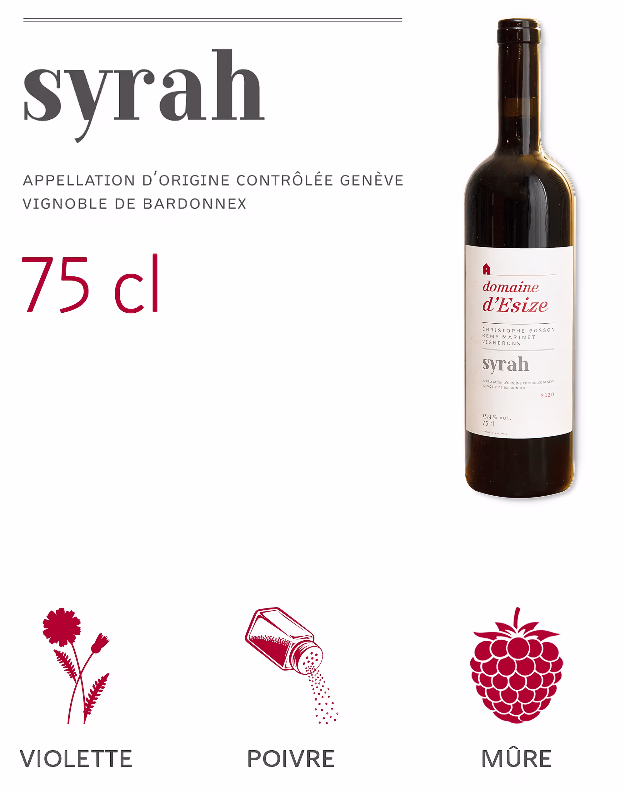 SURECART SYRAH 75CL copie